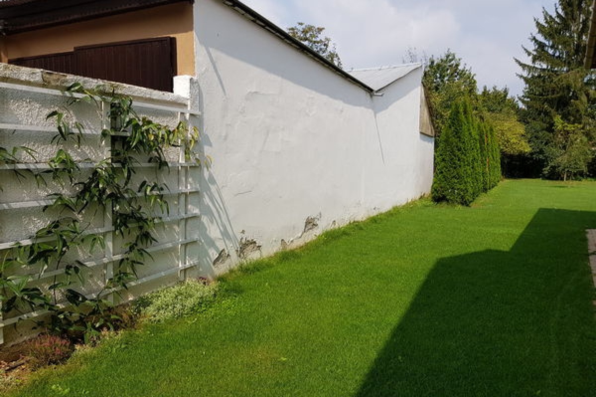 Előtte: Nk. oldalkert