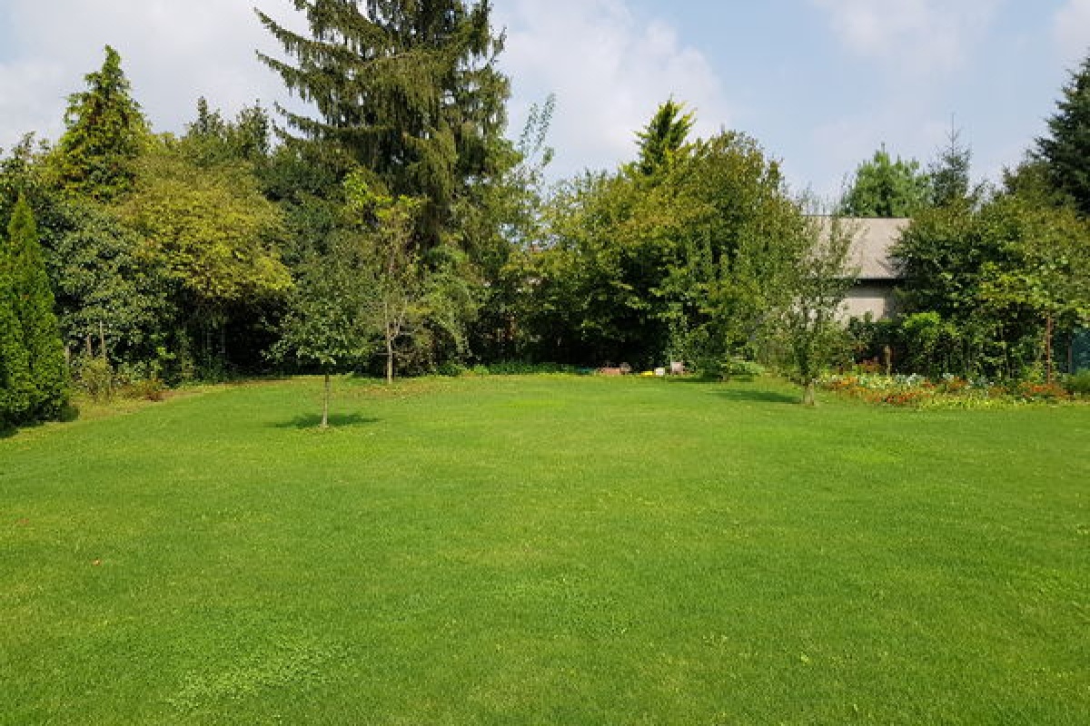 Előtte: Nk. főkert